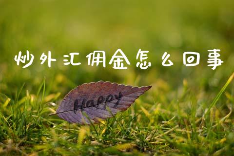 炒外汇佣金怎么回事_https://m.fansifence.com_公募基金_第1张