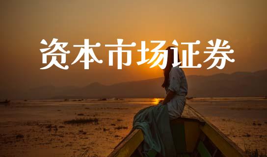 资本市场证券_https://m.fansifence.com_消费金融_第1张