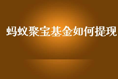 蚂蚁聚宝基金如何提现_https://m.fansifence.com_贵金属行情_第1张