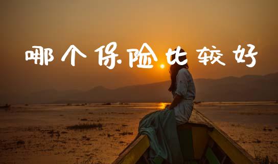 哪个保险比较好_https://m.fansifence.com_公募基金_第1张