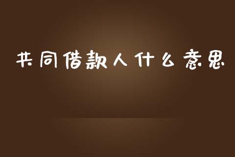 共同借款人什么意思_https://m.fansifence.com_贵金属行情_第1张