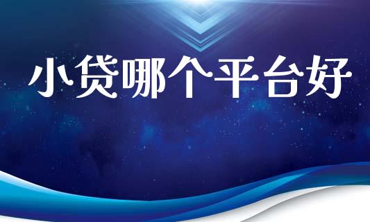 小贷哪个平台好_https://m.fansifence.com_贵金属行情_第1张