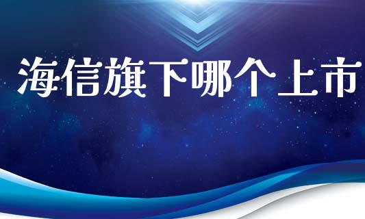 海信旗下哪个上市_https://m.fansifence.com_公募基金_第1张