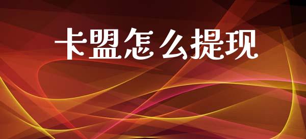 卡盟怎么提现_https://m.fansifence.com_公募基金_第1张