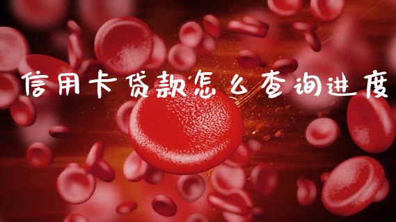 信用卡贷款怎么查询进度_https://m.fansifence.com_消费金融_第1张