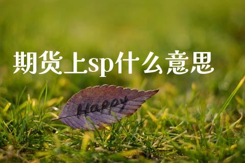 期货上sp什么意思_https://m.fansifence.com_公募基金_第1张