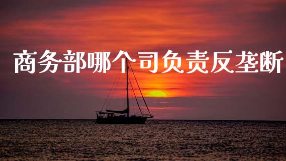 商务部哪个司负责反垄断_https://m.fansifence.com_消费金融_第1张