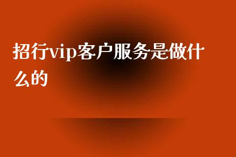 招行vip客户服务是做什么的_https://m.fansifence.com_消费金融_第1张