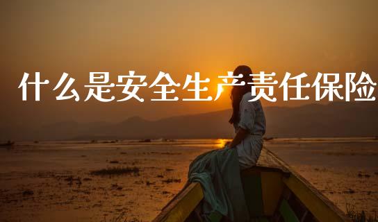 什么是安全生产责任保险_https://m.fansifence.com_公募基金_第1张