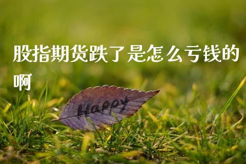 股指期货跌了是怎么亏钱的啊_https://m.fansifence.com_消费金融_第1张