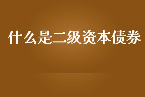 什么是二级资本债券_https://m.fansifence.com_公募基金_第1张