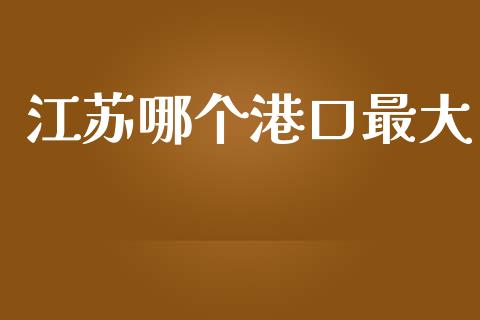 江苏哪个港口最大_https://m.fansifence.com_贵金属行情_第1张