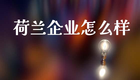 荷兰企业怎么样_https://m.fansifence.com_消费金融_第1张