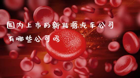 国内上市的新能源汽车公司有哪些公司吗_https://m.fansifence.com_个股行情_第1张