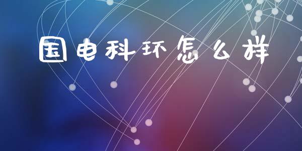国电科环怎么样_https://m.fansifence.com_消费金融_第1张