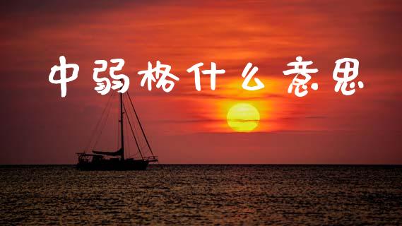 中弱格什么意思_https://m.fansifence.com_消费金融_第1张