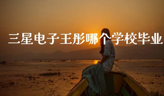 三星电子王彤哪个学校毕业_https://m.fansifence.com_公募基金_第1张