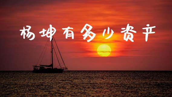 杨坤有多少资产_https://m.fansifence.com_消费金融_第1张