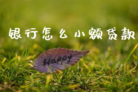 银行怎么小额贷款_https://m.fansifence.com_贵金属行情_第1张
