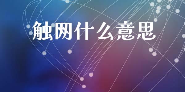 触网什么意思_https://m.fansifence.com_个股行情_第1张