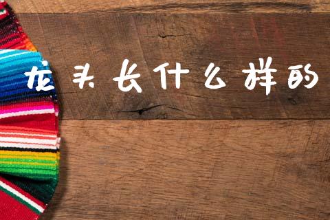 龙头长什么样的_https://m.fansifence.com_贵金属行情_第1张