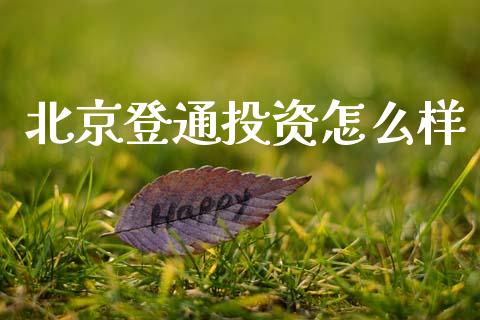 北京登通投资怎么样_https://m.fansifence.com_公募基金_第1张