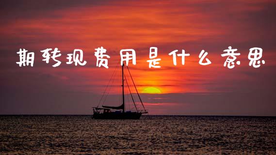 期转现费用是什么意思_https://m.fansifence.com_贵金属行情_第1张