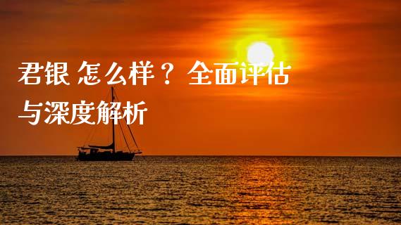 君银 怎么样？ 全面评估与深度解析_https://m.fansifence.com_贵金属行情_第1张