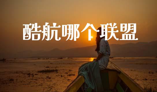 酷航哪个联盟_https://m.fansifence.com_消费金融_第1张
