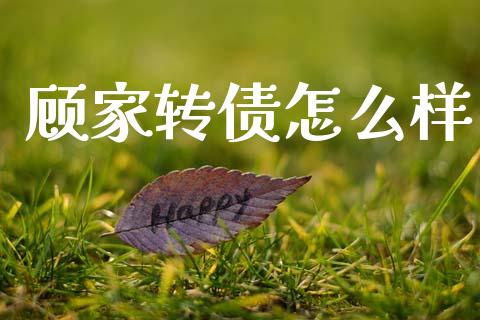顾家转债怎么样_https://m.fansifence.com_消费金融_第1张