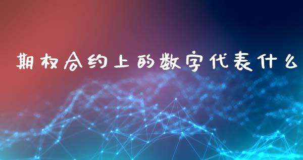 期权合约上的数字代表什么_https://m.fansifence.com_消费金融_第1张