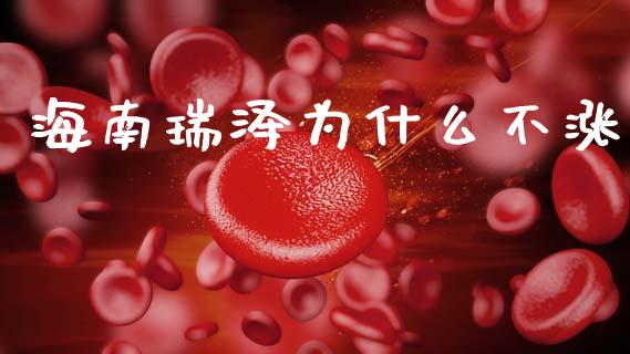 海南瑞泽为什么不涨_https://m.fansifence.com_公募基金_第1张