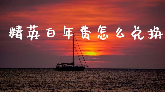 精英白年费怎么兑换_https://m.fansifence.com_公募基金_第1张