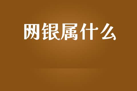网银属什么_https://m.fansifence.com_贵金属行情_第1张