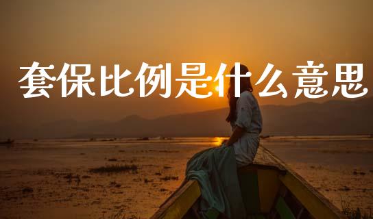 套保比例是什么意思_https://m.fansifence.com_消费金融_第1张