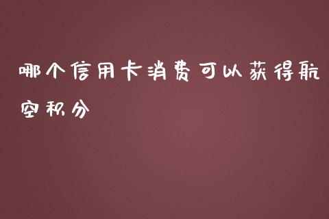 哪个信用卡消费可以获得航空积分_https://m.fansifence.com_公募基金_第1张