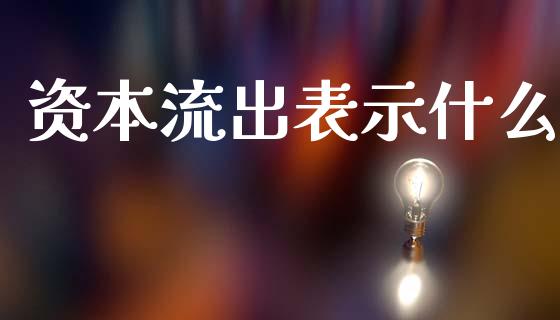 资本流出表示什么_https://m.fansifence.com_消费金融_第1张