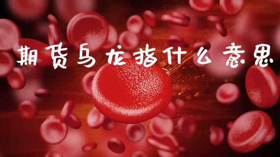 期货乌龙指什么意思_https://m.fansifence.com_贵金属行情_第1张