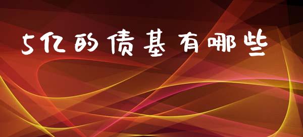5亿的债基有哪些_https://m.fansifence.com_公募基金_第1张