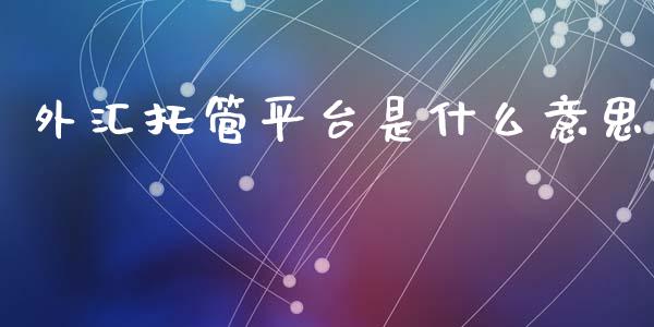 外汇托管平台是什么意思_https://m.fansifence.com_公募基金_第1张