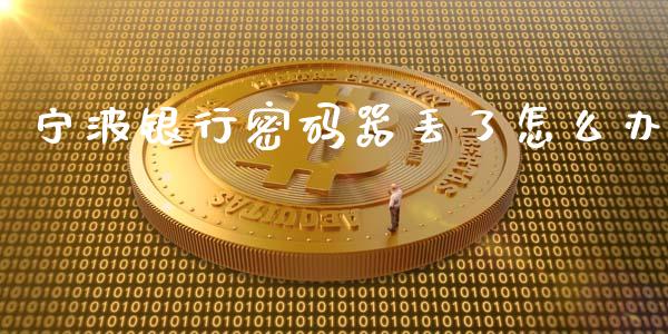 宁波银行密码器丢了怎么办_https://m.fansifence.com_贵金属行情_第1张