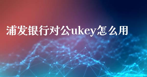 浦发银行对公ukey怎么用_https://m.fansifence.com_贵金属行情_第1张