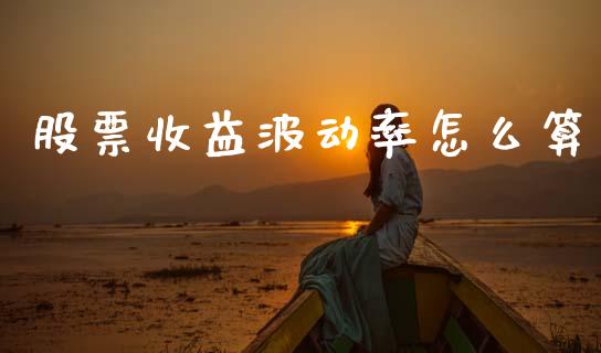 股票收益波动率怎么算_https://m.fansifence.com_个股行情_第1张