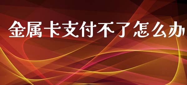 金属卡支付不了怎么办_https://m.fansifence.com_消费金融_第1张