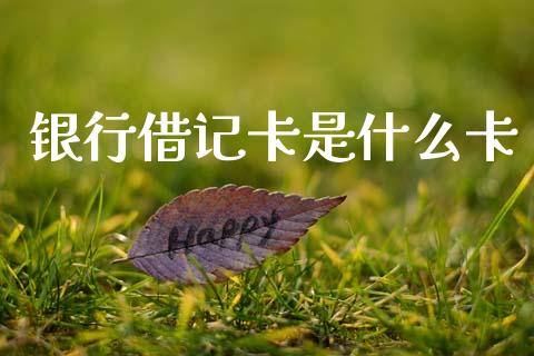 银行借记卡是什么卡_https://m.fansifence.com_公募基金_第1张
