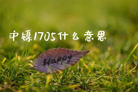 沪镍1705什么意思_https://m.fansifence.com_公募基金_第1张
