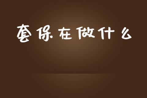 套保在做什么_https://m.fansifence.com_消费金融_第1张
