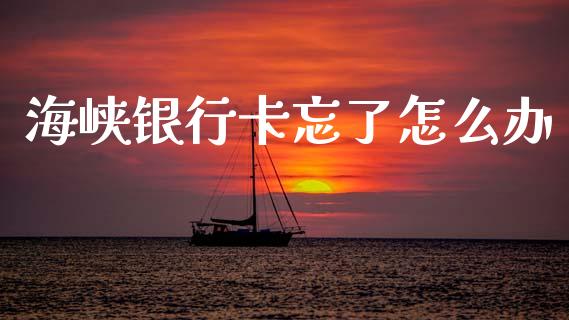 海峡银行卡忘了怎么办_https://m.fansifence.com_公募基金_第1张