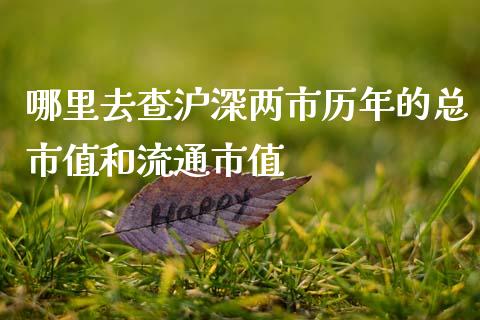 哪里去查沪深两市历年的总市值和流通市值_https://m.fansifence.com_贵金属行情_第1张