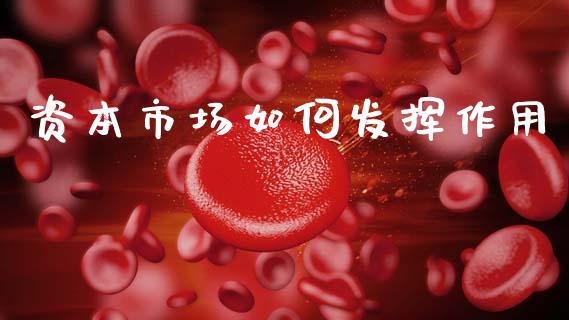 资本市场如何发挥作用_https://m.fansifence.com_公募基金_第1张
